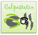 calpastatin